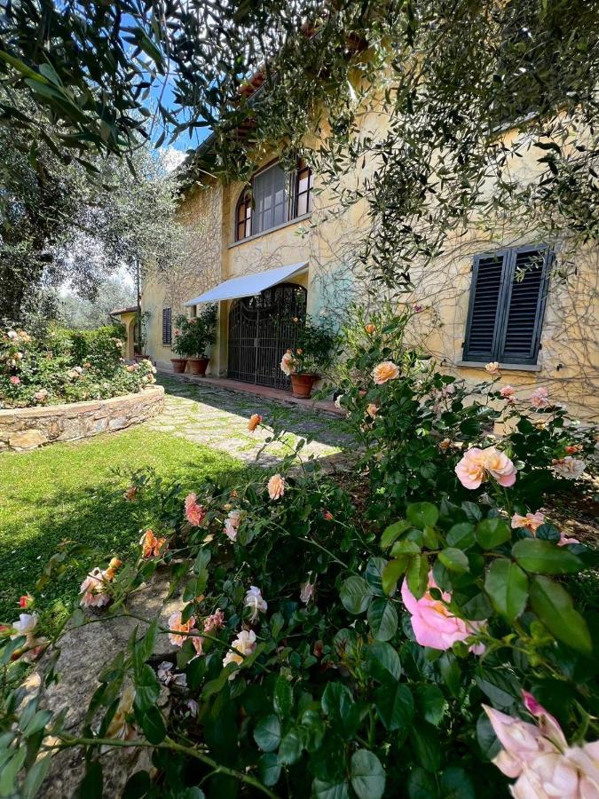 Villa Giotto Florence Pozzolatico 외부 사진