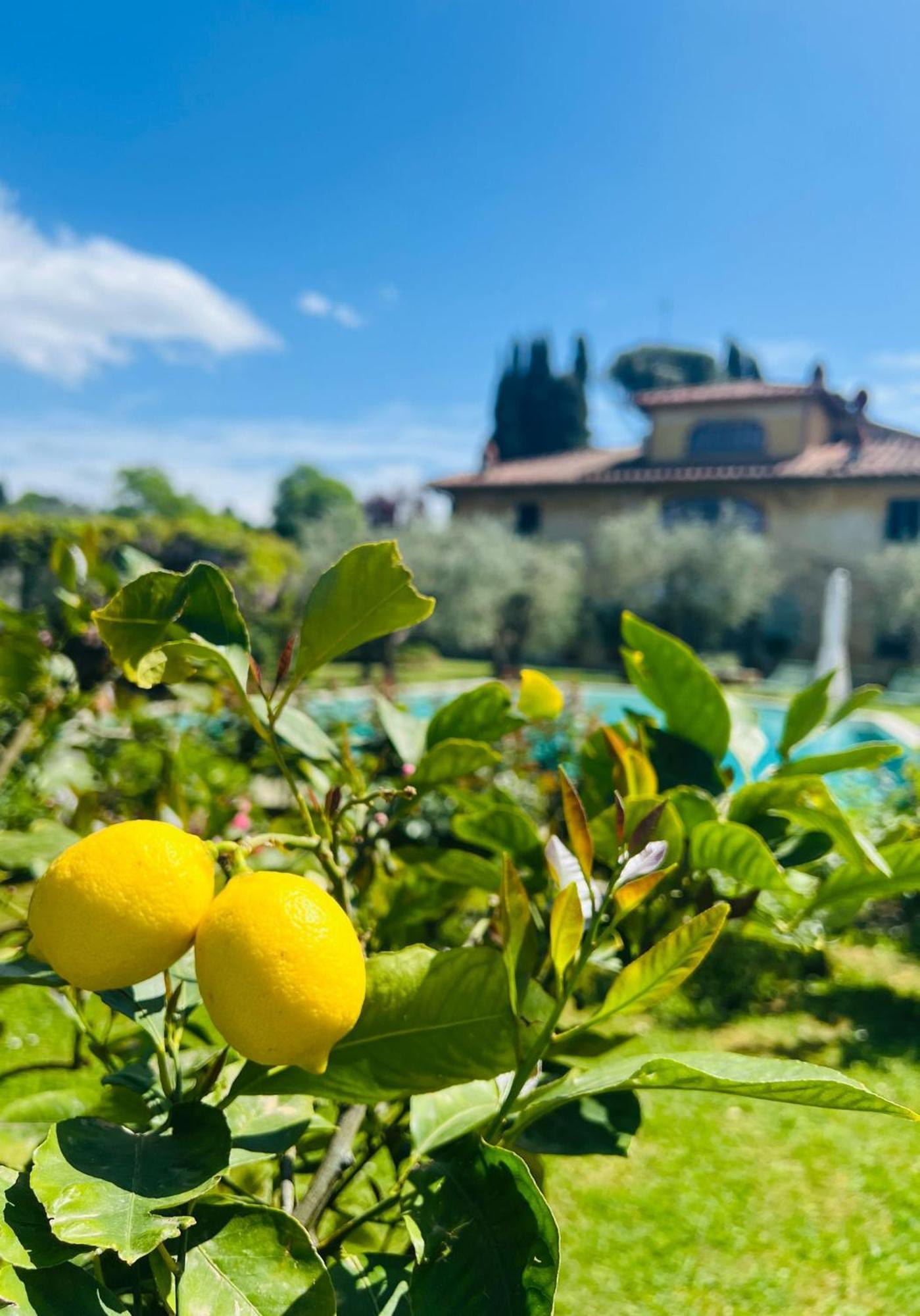 Villa Giotto Florence Pozzolatico 외부 사진