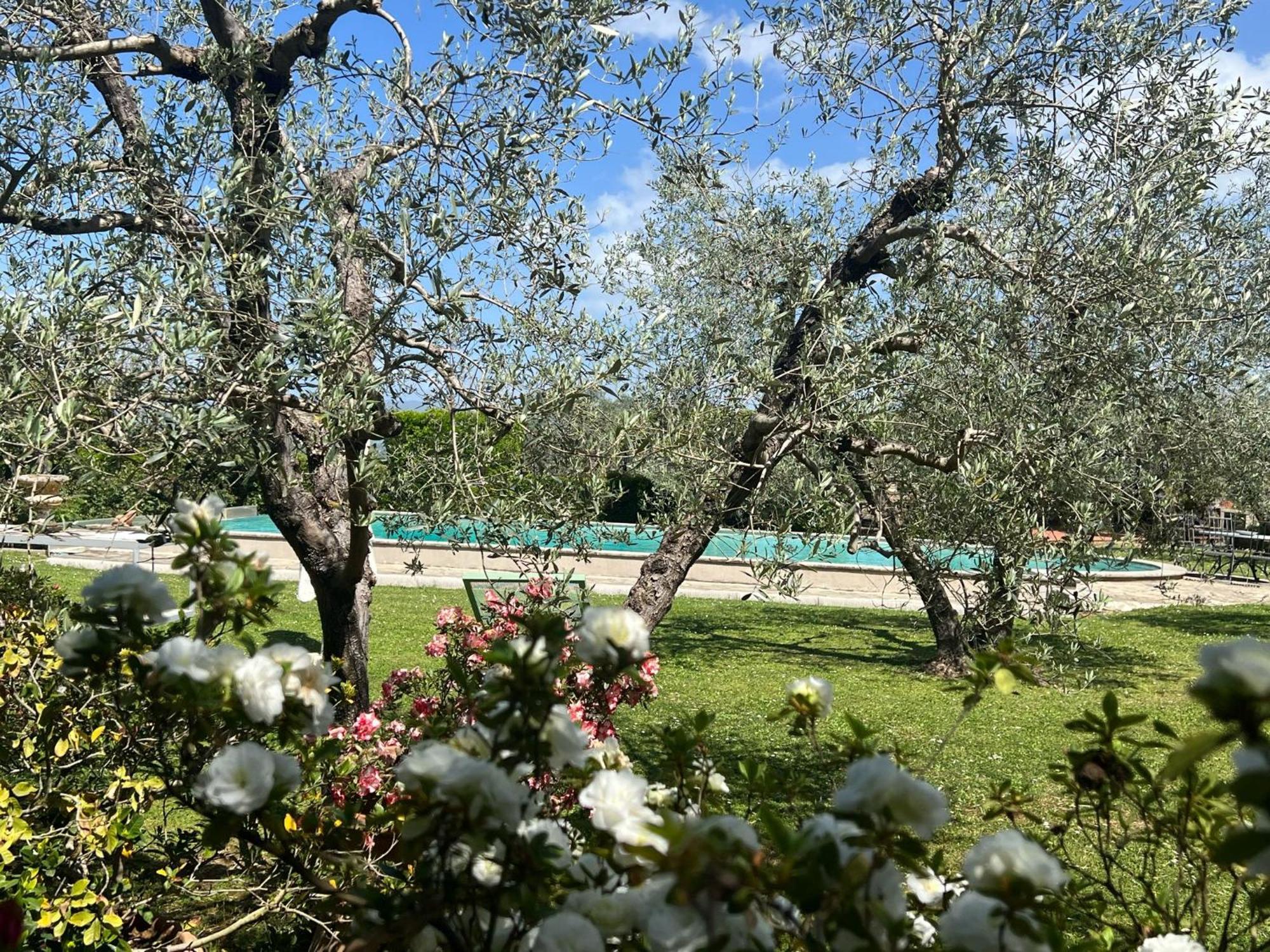 Villa Giotto Florence Pozzolatico 외부 사진